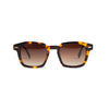 ST-TROPEZ TORTOISE