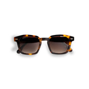 ST-TROPEZ TORTOISE