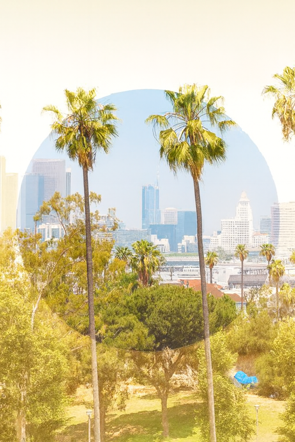 1. POLARIZED LENSES: