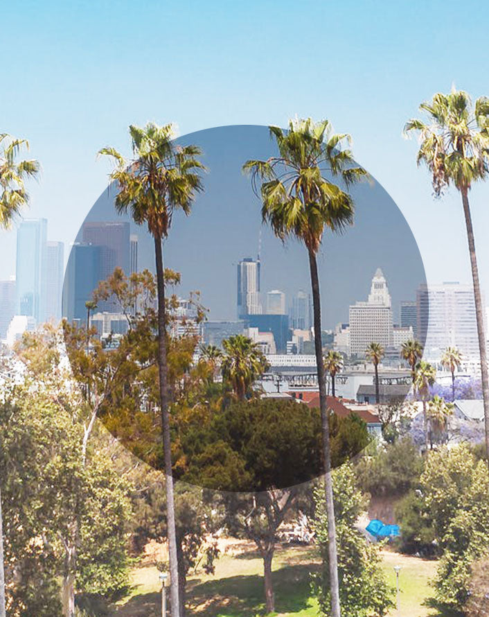 1. POLARIZED LENSES: